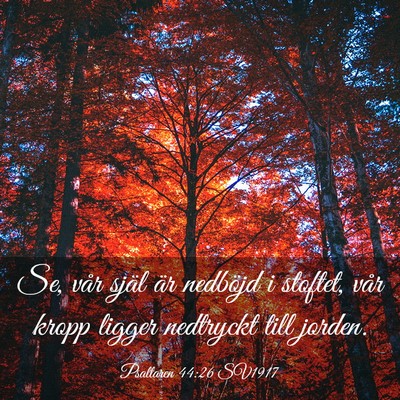 Picture 03 - Psaltaren 44:26 SV1917 - Se, vår själ är nedböjd i stoftet, vår kropp - Bible Verse Picture