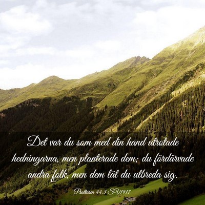Picture 03 - Psaltaren 44:3 SV1917 - Det var du som med din hand utrotade hedningarna, - Bible Verse Picture