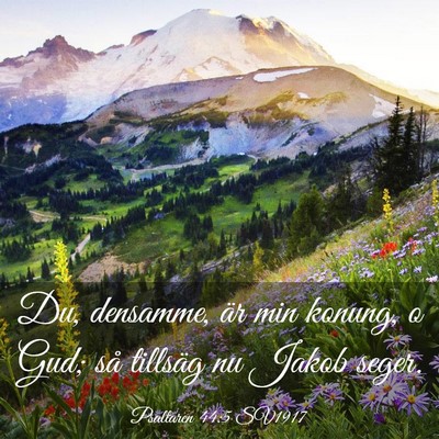 Picture 03 - Psaltaren 44:5 SV1917 - Du, densamme, är min konung, o Gud; så tillsäg - Bible Verse Picture