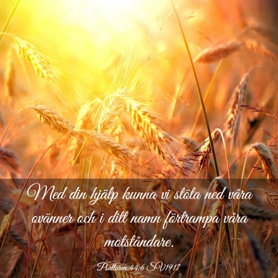 Picture 03 - Psaltaren 44:6 SV1917 - Med din hjälp kunna vi stöta ned våra ovänner - Bible Verse Picture
