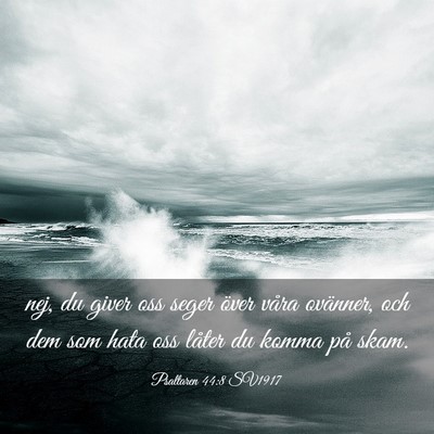 Picture 03 - Psaltaren 44:8 SV1917 - nej, du giver oss seger över våra ovänner, och - Bible Verse Picture