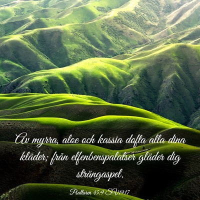 Picture 03 - Psaltaren 45:9 SV1917 - Av myrra, aloe och kassia dofta alla dina - Bible Verse Picture