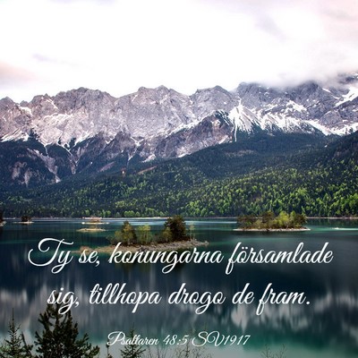 Picture 03 - Psaltaren 48:5 SV1917 - Ty se, konungarna församlade sig, tillhopa drogo - Bible Verse Picture