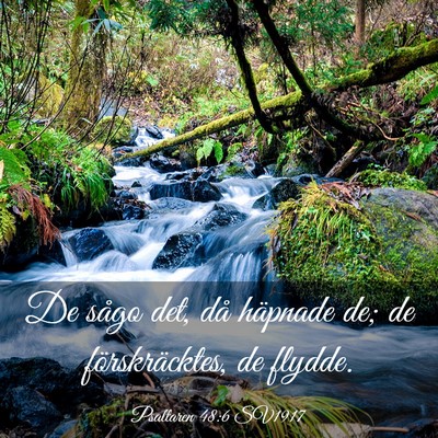 Picture 03 - Psaltaren 48:6 SV1917 - De sågo det, då häpnade de; de förskräcktes, - Bible Verse Picture