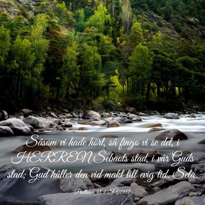 Picture 03 - Psaltaren 48:9 SV1917 - Såsom vi hade hört, så fingo vi se det, i - Bible Verse Picture