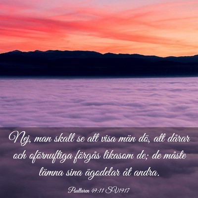 Picture 03 - Psaltaren 49:11 SV1917 - Nej, man skall se att visa män dö, att dårar - Bible Verse Picture