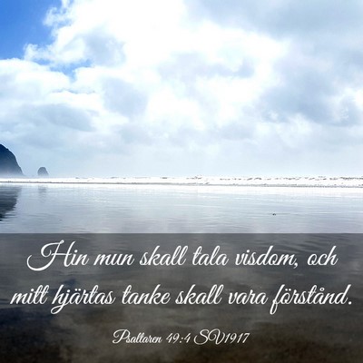 Picture 03 - Psaltaren 49:4 SV1917 - Hin mun skall tala visdom, och mitt hjärtas - Bible Verse Picture