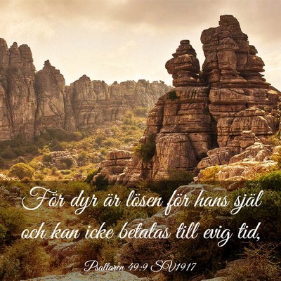 Picture 03 - Psaltaren 49:9 SV1917 - För dyr är lösen för hans själ och kan icke - Bible Verse Picture