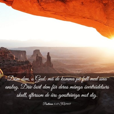 Picture 03 - Psaltaren 5:11 SV1917 - Döm dem, o Gud; må de komma på fall med sina - Bible Verse Picture