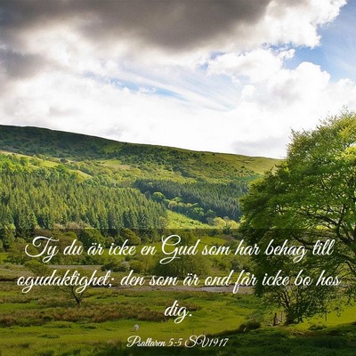 Picture 03 - Psaltaren 5:5 SV1917 - Ty du är icke en Gud som har behag till - Bible Verse Picture