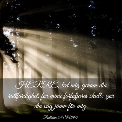 Picture 03 - Psaltaren 5:9 SV1917 - HERRE, led mig genom din rättfärdighet, för - Bible Verse Picture