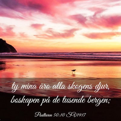 Picture 03 - Psaltaren 50:10 SV1917 - ty mina äro alla skogens djur, boskapen på de - Bible Verse Picture