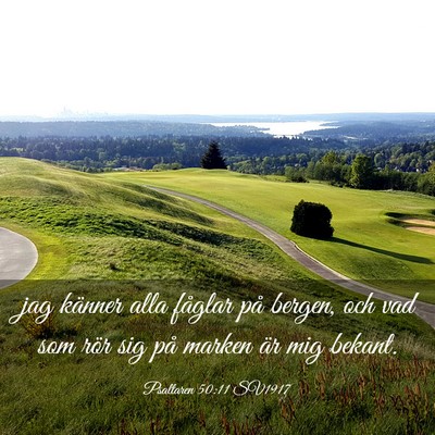 Picture 03 - Psaltaren 50:11 SV1917 - jag känner alla fåglar på bergen, och vad som - Bible Verse Picture