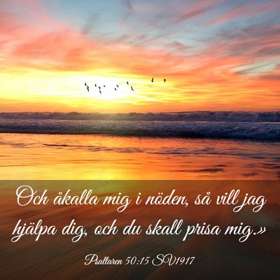 Picture 03 - Psaltaren 50:15 SV1917 - Och åkalla mig i nöden, så vill jag hjälpa - Bible Verse Picture