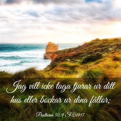Picture 03 - Psaltaren 50:9 SV1917 - Jag vill icke taga tjurar ur ditt hus eller - Bible Verse Picture