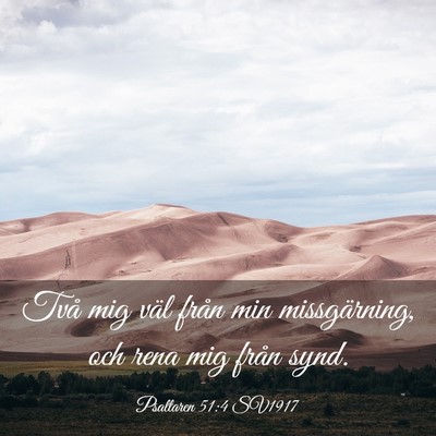 Picture 03 - Psaltaren 51:4 SV1917 - Två mig väl från min missgärning, och rena - Bible Verse Picture