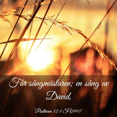 Picture 03 - Psaltaren 52:1 SV1917 - För sångmästaren; en sång av - Bible Verse Picture