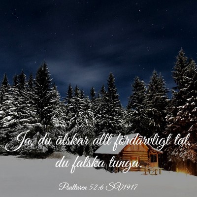 Picture 03 - Psaltaren 52:6 SV1917 - Ja, du älskar allt fördärvligt tal, du falska - Bible Verse Picture