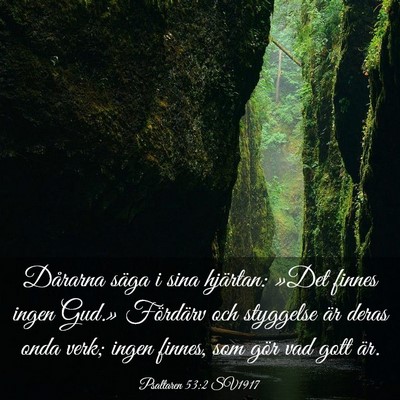Picture 03 - Psaltaren 53:2 SV1917 - Dårarna säga i sina hjärtan: »Det finnes - Bible Verse Picture