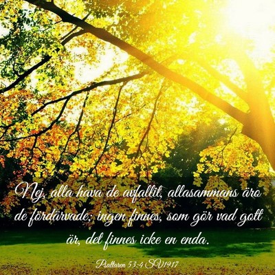 Picture 03 - Psaltaren 53:4 SV1917 - Nej, alla hava de avfallit, allasammans äro de - Bible Verse Picture