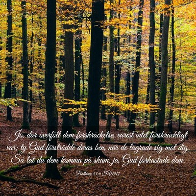 Picture 03 - Psaltaren 53:6 SV1917 - Jo, där överföll dem förskräckelse, varest - Bible Verse Picture