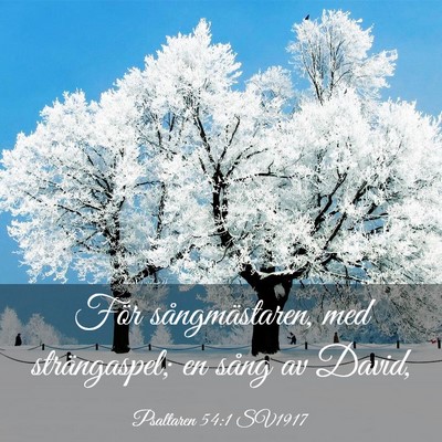 Picture 03 - Psaltaren 54:1 SV1917 - För sångmästaren, med strängaspel; en sång - Bible Verse Picture