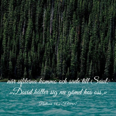 Picture 03 - Psaltaren 54:2 SV1917 - när sifiterna kommo och sade till Saul: »David - Bible Verse Picture