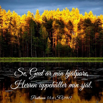 Picture 03 - Psaltaren 54:6 SV1917 - Se, Gud är min hjälpare, Herren uppehåller min - Bible Verse Picture