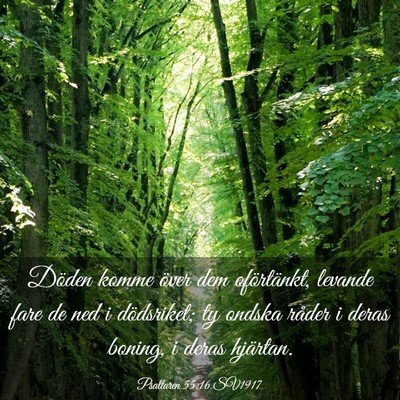Picture 03 - Psaltaren 55:16 SV1917 - Döden komme över dem oförtänkt, levande fare - Bible Verse Picture