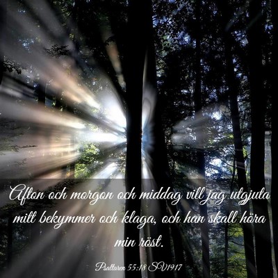 Picture 03 - Psaltaren 55:18 SV1917 - Afton och morgon och middag vill jag utgjuta mitt - Bible Verse Picture