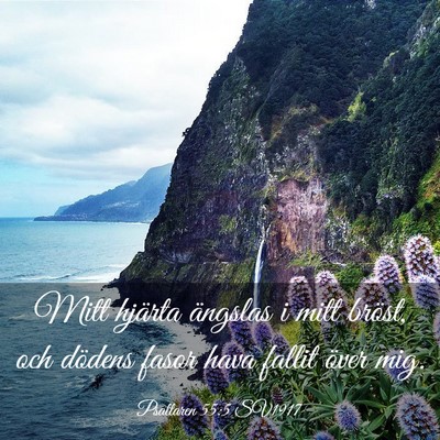 Picture 03 - Psaltaren 55:5 SV1917 - Mitt hjärta ängslas i mitt bröst, och dödens - Bible Verse Picture