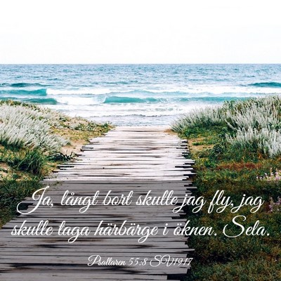 Picture 03 - Psaltaren 55:8 SV1917 - Ja, långt bort skulle jag fly, jag skulle taga - Bible Verse Picture