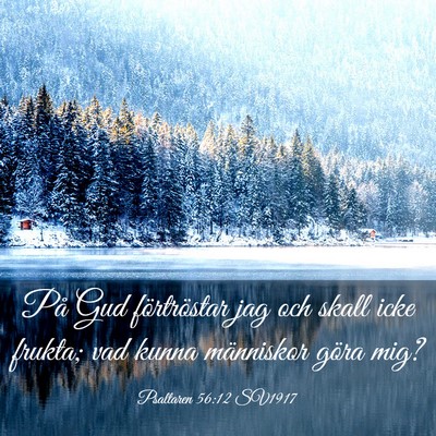 Picture 03 - Psaltaren 56:12 SV1917 - På Gud förtröstar jag och skall icke frukta; - Bible Verse Picture