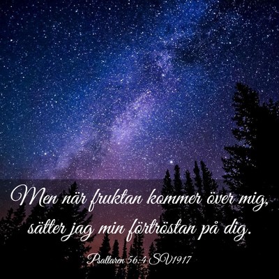 Picture 03 - Psaltaren 56:4 SV1917 - Men när fruktan kommer över mig, sätter jag - Bible Verse Picture