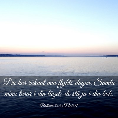 Picture 03 - Psaltaren 56:9 SV1917 - Du har räknat min flykts dagar. Samla mina - Bible Verse Picture