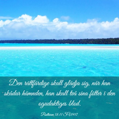 Picture 03 - Psaltaren 58:11 SV1917 - Den rättfärdige skall glädja sig, när han - Bible Verse Picture