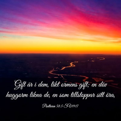 Picture 03 - Psaltaren 58:5 SV1917 - Gift är i dem, likt ormens gift; en döv huggorm - Bible Verse Picture