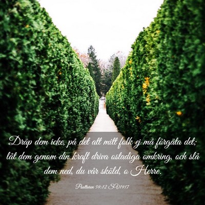 Picture 03 - Psaltaren 59:12 SV1917 - Dräp dem icke, på det att mitt folk ej må - Bible Verse Picture