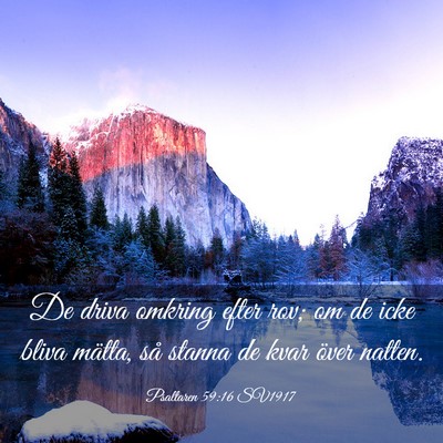 Picture 03 - Psaltaren 59:16 SV1917 - De driva omkring efter rov; om de icke bliva - Bible Verse Picture