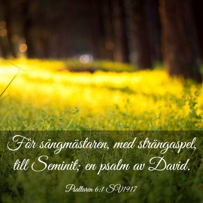 Picture 03 - Psaltaren 6:1 SV1917 - För sångmästaren, med strängaspel, till - Bible Verse Picture