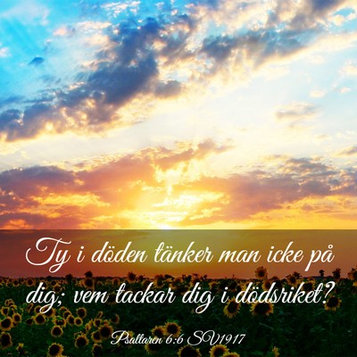Picture 03 - Psaltaren 6:6 SV1917 - Ty i döden tänker man icke på dig; vem tackar - Bible Verse Picture