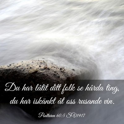 Picture 03 - Psaltaren 60:5 SV1917 - Du har låtit ditt folk se hårda ting, du har - Bible Verse Picture