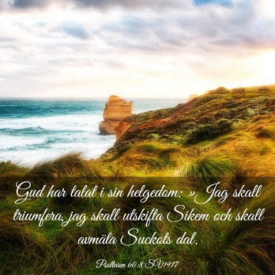 Picture 03 - Psaltaren 60:8 SV1917 - Gud har talat i sin helgedom: »Jag skall - Bible Verse Picture