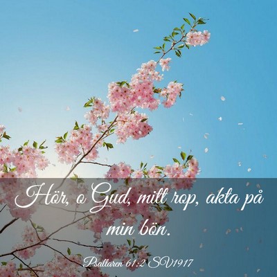 Picture 03 - Psaltaren 61:2 SV1917 - Hör, o Gud, mitt rop, akta på min - Bible Verse Picture