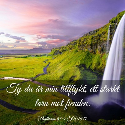 Picture 03 - Psaltaren 61:4 SV1917 - Ty du är min tillflykt, ett starkt torn mot - Bible Verse Picture