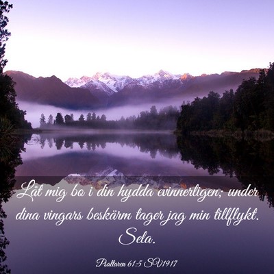 Picture 03 - Psaltaren 61:5 SV1917 - Låt mig bo i din hydda evinnerligen; under dina - Bible Verse Picture