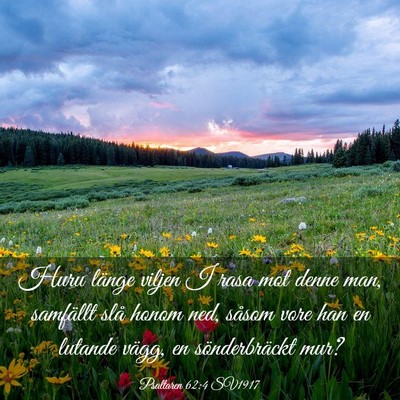 Picture 03 - Psaltaren 62:4 SV1917 - Huru länge viljen I rasa mot denne man, - Bible Verse Picture