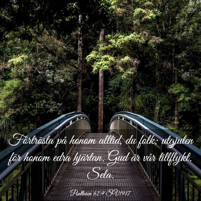 Picture 03 - Psaltaren 62:9 SV1917 - Förtrösta på honom alltid, du folk; utgjuten - Bible Verse Picture