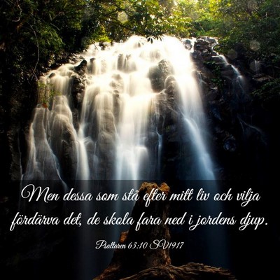 Picture 03 - Psaltaren 63:10 SV1917 - Men dessa som stå efter mitt liv och vilja - Bible Verse Picture
