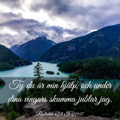 Picture 03 - Psaltaren 63:8 SV1917 - Ty du är min hjälp, och under dina vingars - Bible Verse Picture